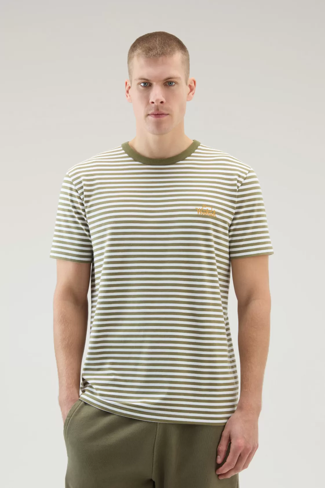 T-Shirts>woolrich Striped T-Shirt In Stretch Cotton Jersey Green Stripe